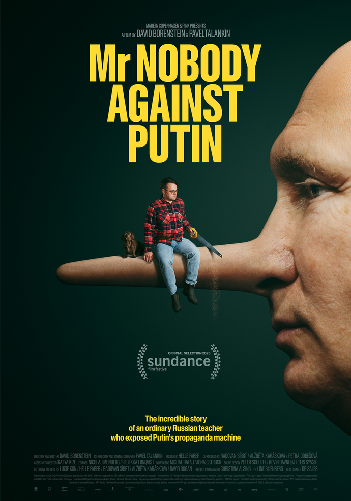 Poster för mr nobody against putin